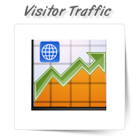 Visitor Traffic